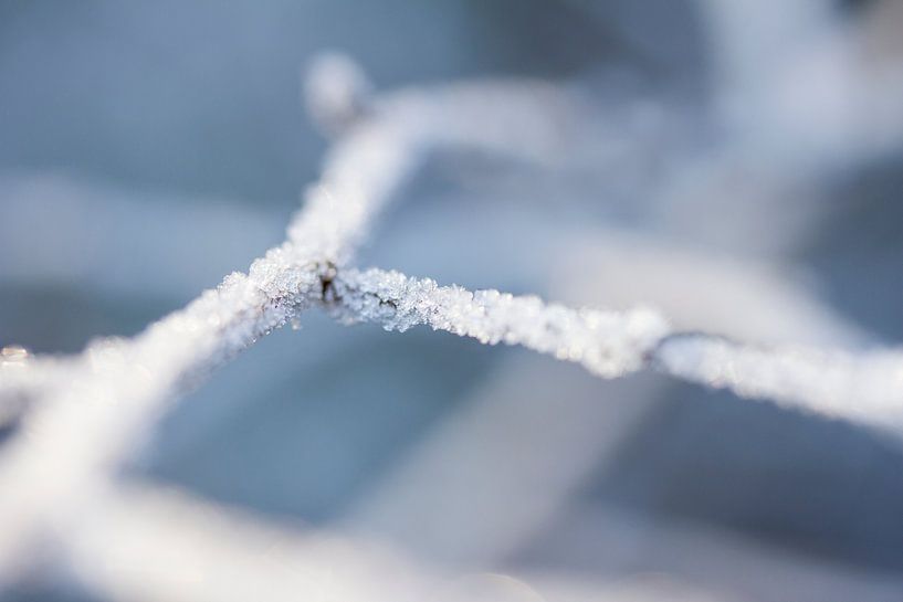 Schneedetail, kleine Diamanten, die eine Schneeschicht bilden von Karijn | Fine art Natuur en Reis Fotografie