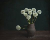 Ein bisschen Glück an der Wand, Löwenzahn aus der Goldener Zeitalter