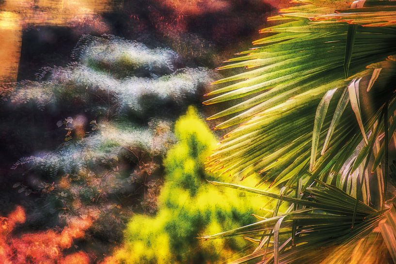 In einem kleinen schönen Park von Nicc Koch