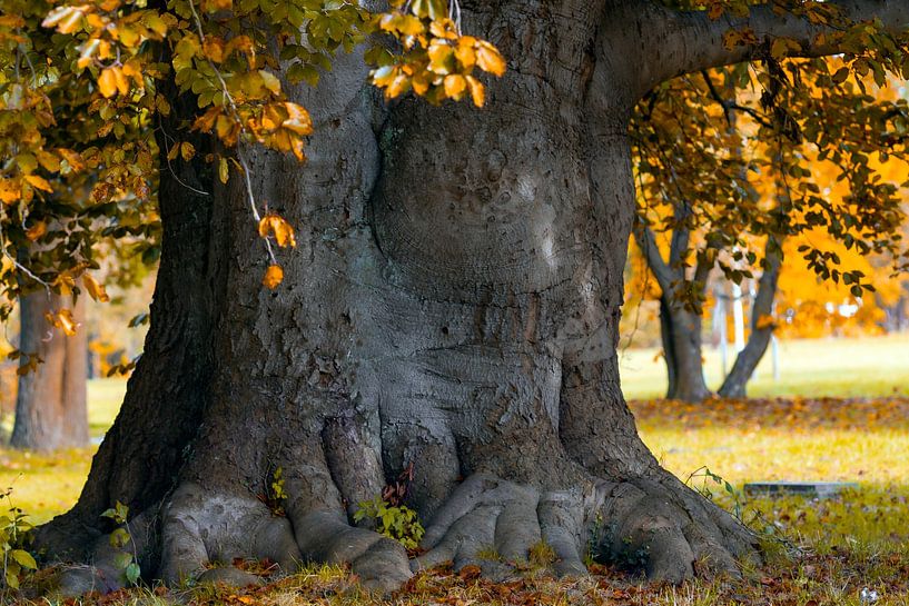 Power Tree van Kirsten Warner