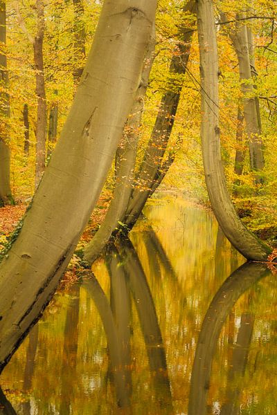 Oelerbeek von Anneke Hooijer