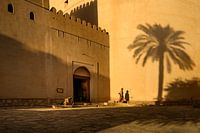 Nizwa Fort und die Schattenpalme