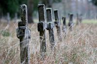 Forgotten graves somewhere in a forrest