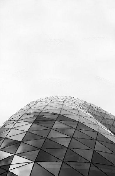 Blob Eindhoven in Zwart Wit van Bas Mandos