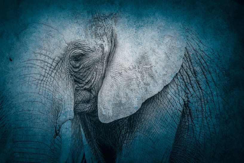 Blaue Gelassenheit Elefant in einem verträumten Blau Einstellung von Femke Ketelaar