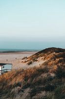 Die Dünen von Ouddorp