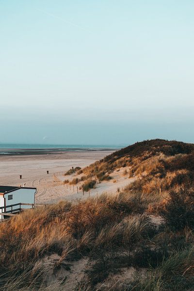 Die Dünen von Ouddorp von Merel Tuk