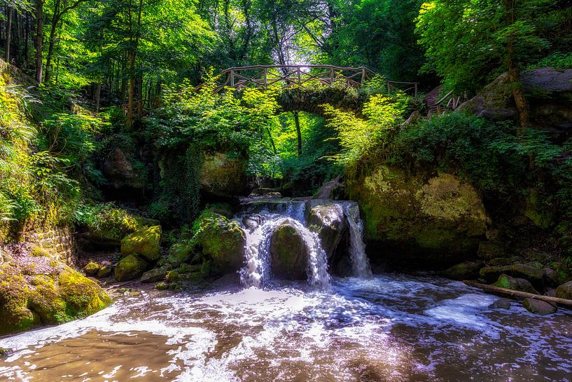 Mullerthal Trail VIII by Marcel Moonen @ MMC Artworks