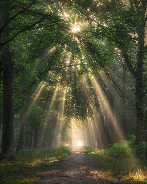 Beam me up! par Rob Visser