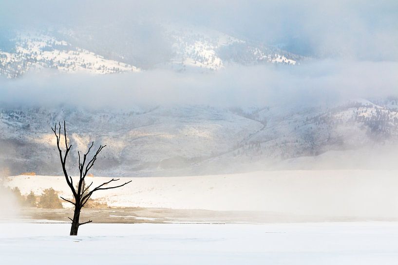 Oasis à Yellowstone par Harriëtte Giesbers