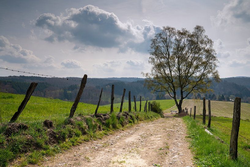 Bergischer Panoramasteig, Bergisches Land, Deutschland von Alexander Ludwig