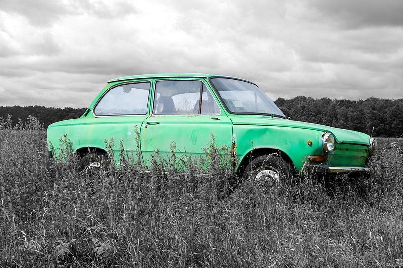 Daf in landscape by Evert Jan Luchies