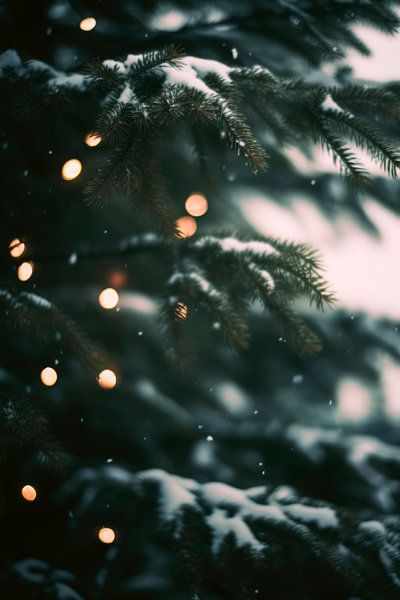 Winter Impressions No 11 by Treechild