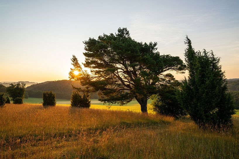 Calvary, Blankenheim, Eifel, Germany by Alexander Ludwig