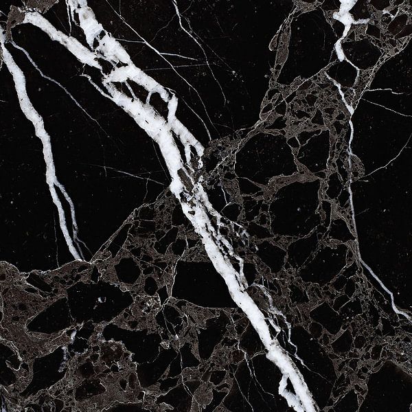 NETWORKED BLACK &amp; WHITE v5 van Pia Schneider