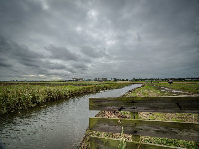 Stilleven von Dirk van der Plas