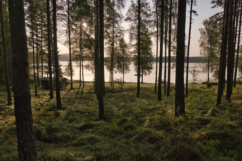 Sonnenlicht durchflutet den Wald am See mit Hütten, friedliche Naturidylle von Martin Köbsch