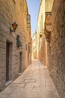 Malerische enge Gasse in Mdina | Stadtfotografie | Reisefotografie
