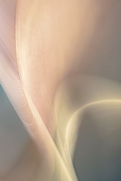 Adagietto von Beth Buelow