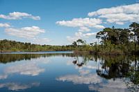 Landschaft mit Wasserreflexionen