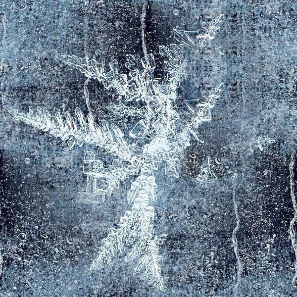 Blau-Eis I von Klaartje Majoor