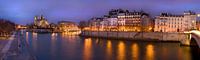 Notre-Dame de Paris et l'Ile Saint Louis la nuit / Notre-Dame de Paris et l'Ile Saint Louis la nuit
