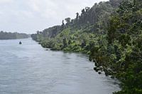 Suriname rivier