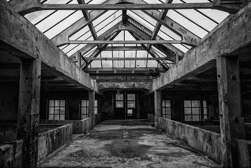 Koninklijke Lederfabriek Oisterwijk by Alice Berkien-van Mil