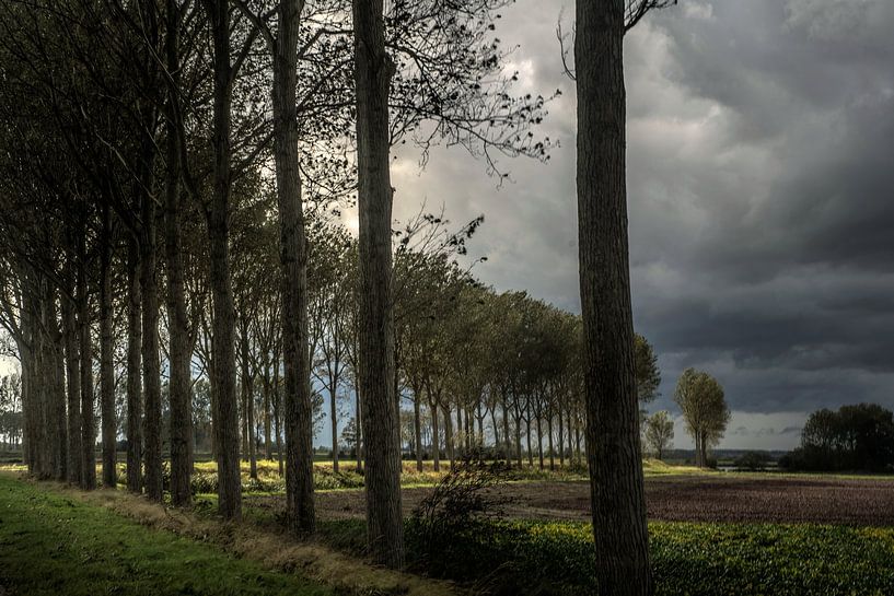 Krabbedijk von Mario de Lijser