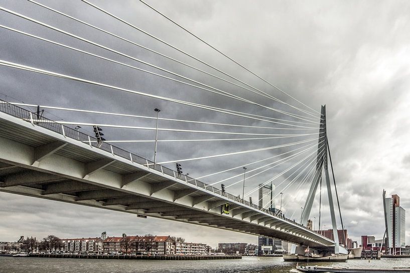 Erasmusbrücke von Mario de Lijser