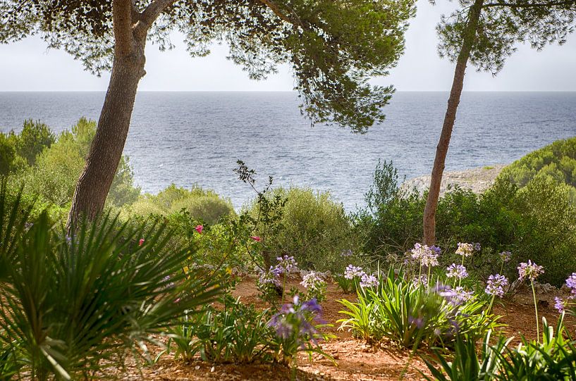 Inselparadies von Mark Bolijn