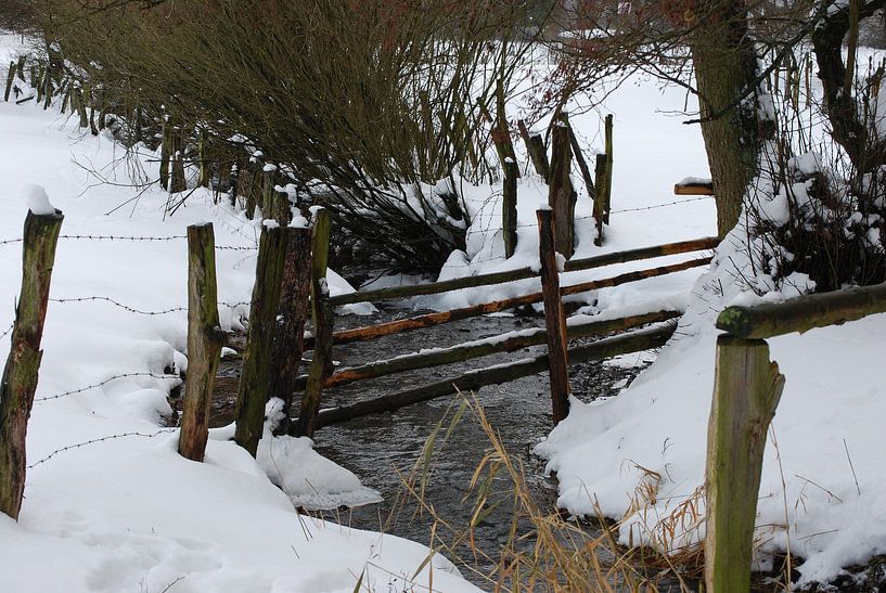 Beekje von Victor Belou