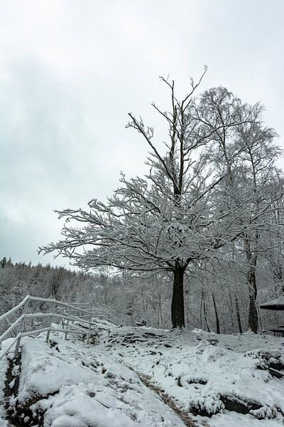 Winter landscapes by Johnny Flash