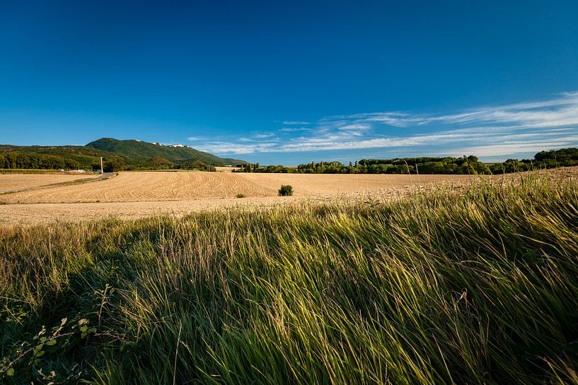 Typische französische Landschaft im Sommer mit Getreidefeldern von Fotografiecor .nl