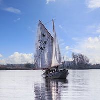 Bateau à voile dans le Biesbosch - photo couleur carrée