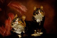 Schilderachtige Schoonheid de Poezen