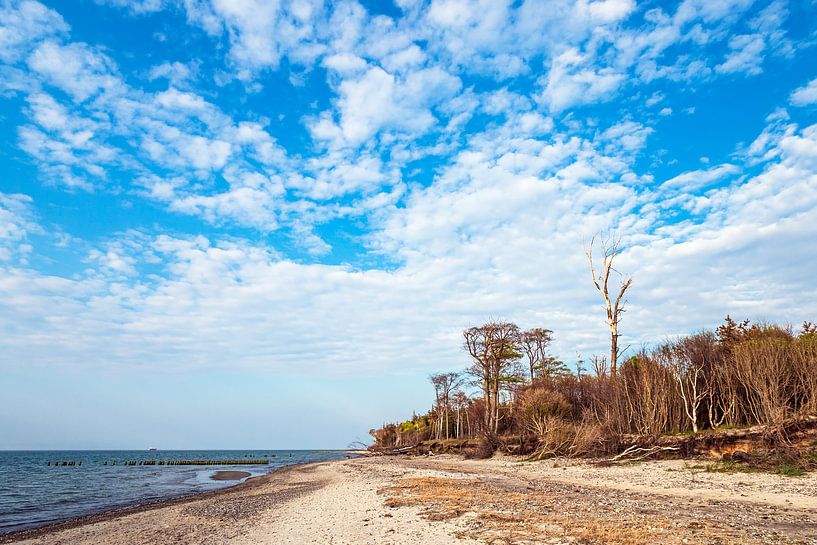 Landscape at the coast of the Baltic Sea in Graal-Müritz by Rico Ködder
