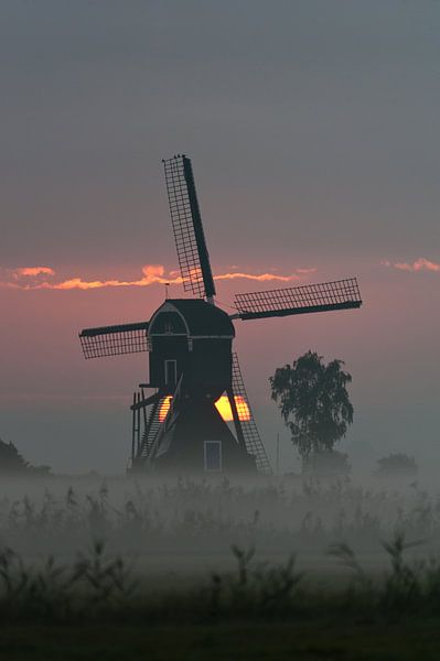ochtend molen von Bart Hardorff
