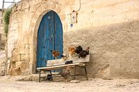 The Timeless Landscape of Cappadocia