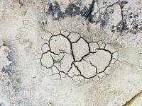 Cracks in the soil
