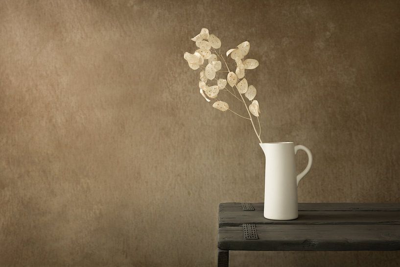 Stilleben mit getrockneter Judasmedaille von Mayra Fotografie