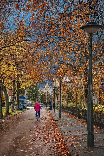 Le canal de Leeuwarden, en Frise, aux couleurs de l'automne par Harrie Muis