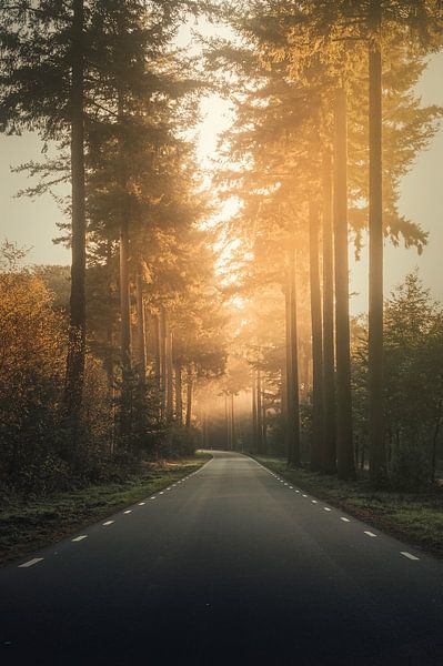 Von Speuld bis Drei von Peter Grannetia