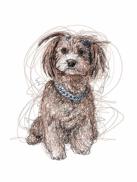 Ein süßer Hund von Sepri Abadi