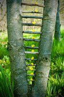 Einen Schritt überspringen