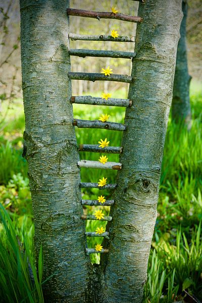 Einen Schritt überspringen von Mies Heerma