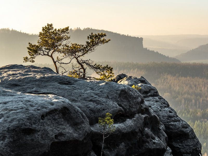 Gohrisch in Saxon Switzerland - View towards Pfaffenstein by Pixelwerk