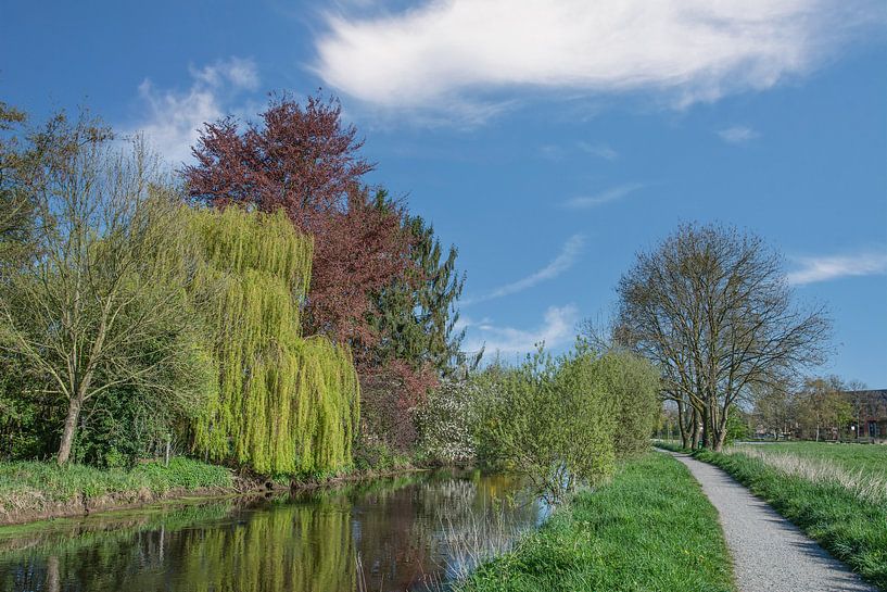 dans la plaine inondable de la Niers près de Wachtendonk par Peter Eckert