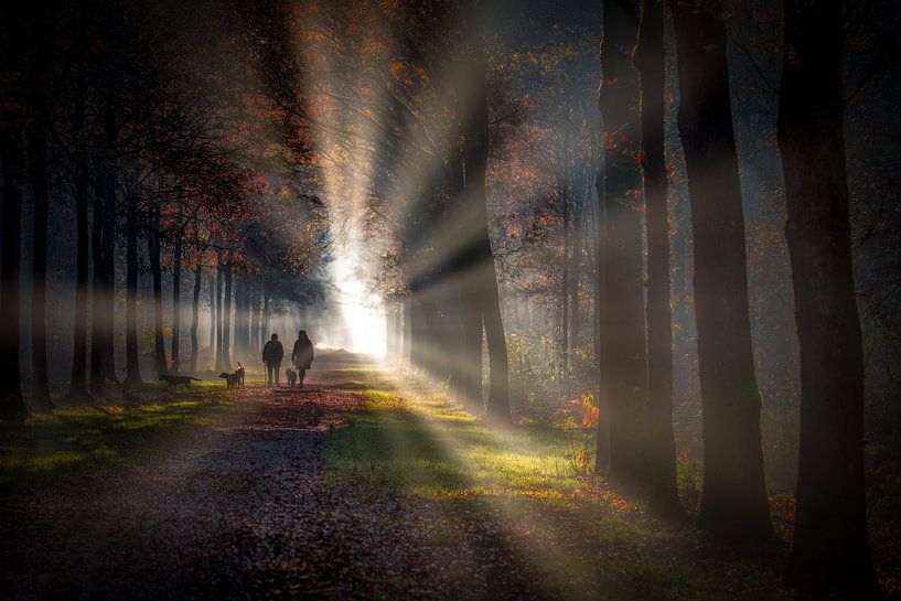 walk in the woods by Egon Zitter