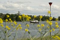Boot op de Maasplassen bij Roermond